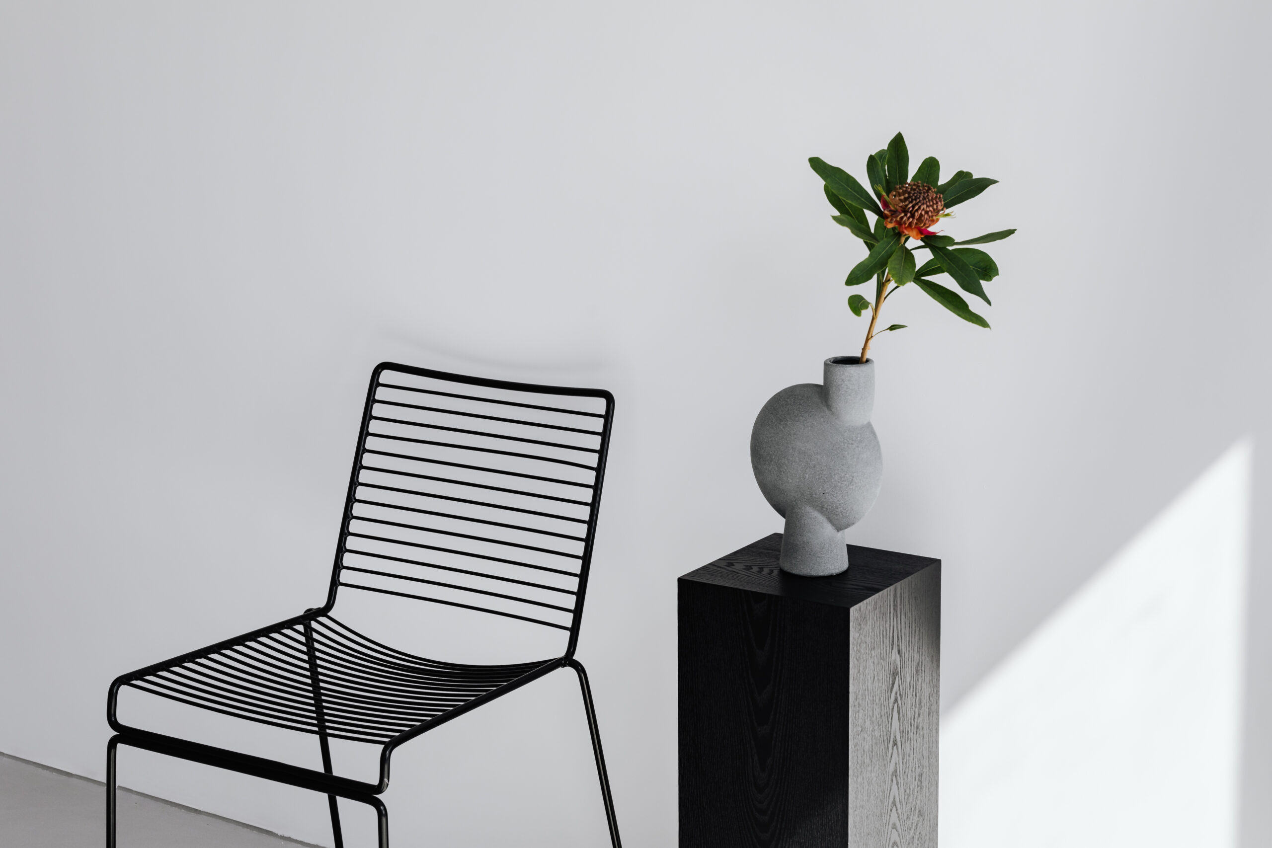 kaboompics_black-metal-chair-flowers-modern-vase-pedestal-25976